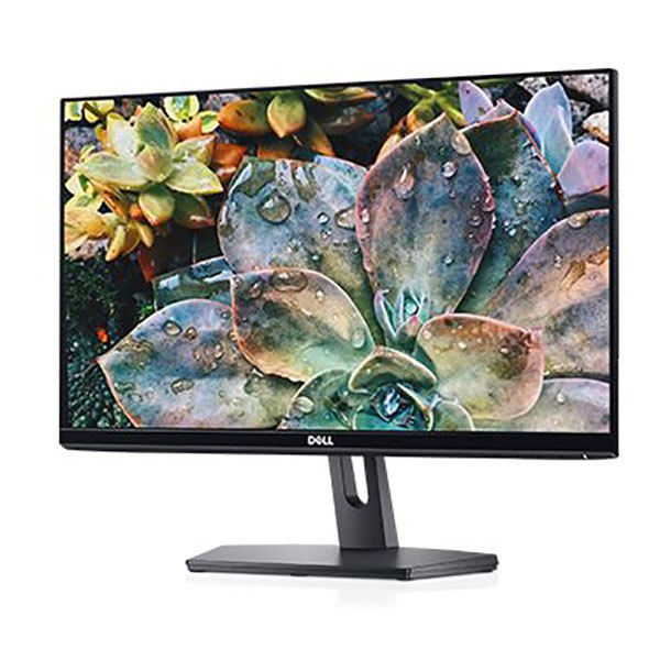Dell Monitor SE2419HR 